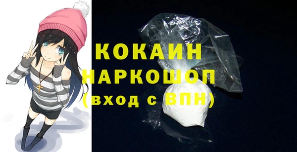 хмурый Абаза