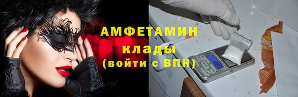 ешки Алексин