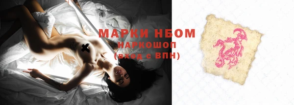 хмурый Абаза