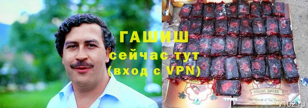 хмурый Абаза