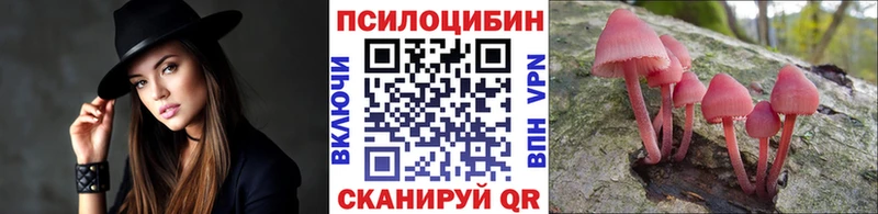 MEGA ссылка  Батайск  Псилоцибиновые грибы Psilocybe  хочу наркоту 